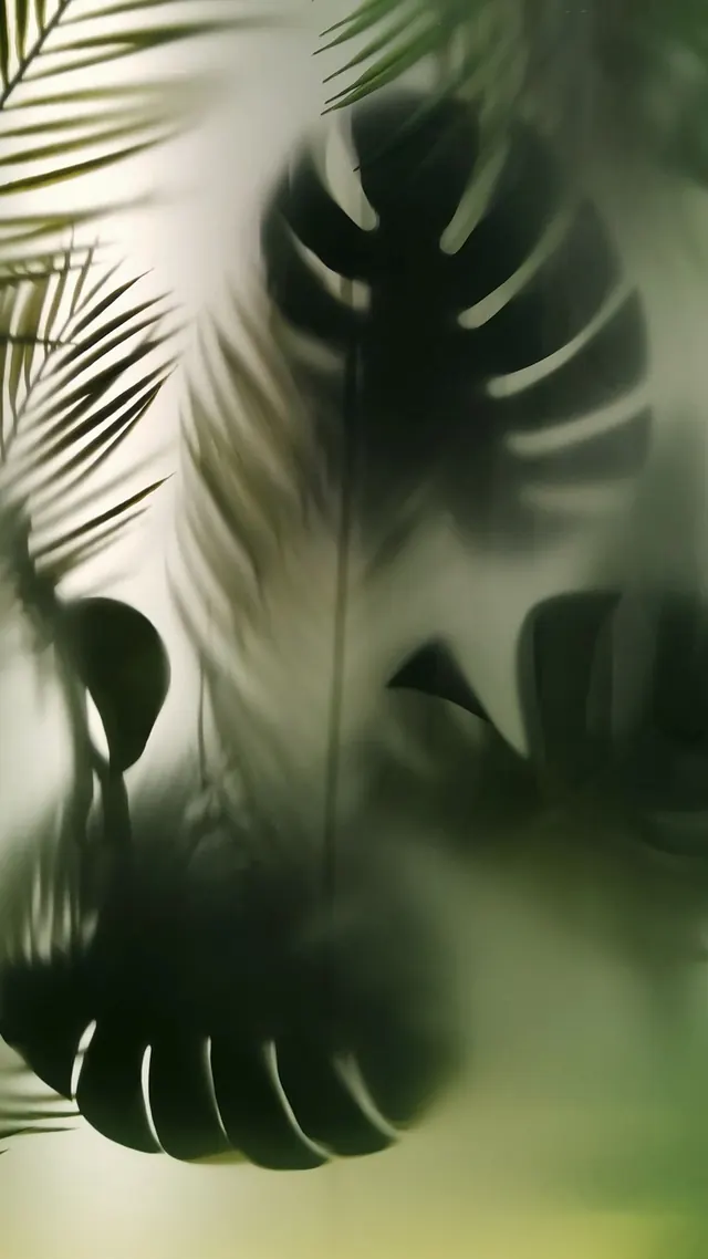 Tropical Leaf Shadow Play, organic, minimal, muted