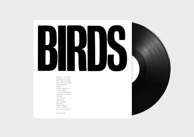 BIRDS Typography and Vinyl Mockup, minimal, swiss, monochrome