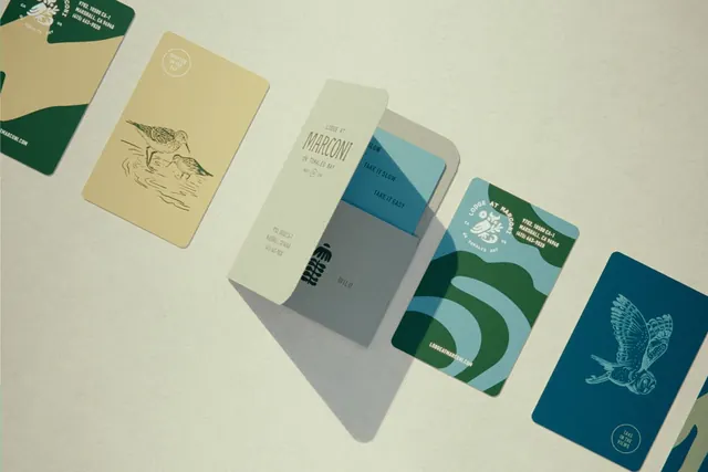 Organic stationery brand identity system, minimal, organic, light