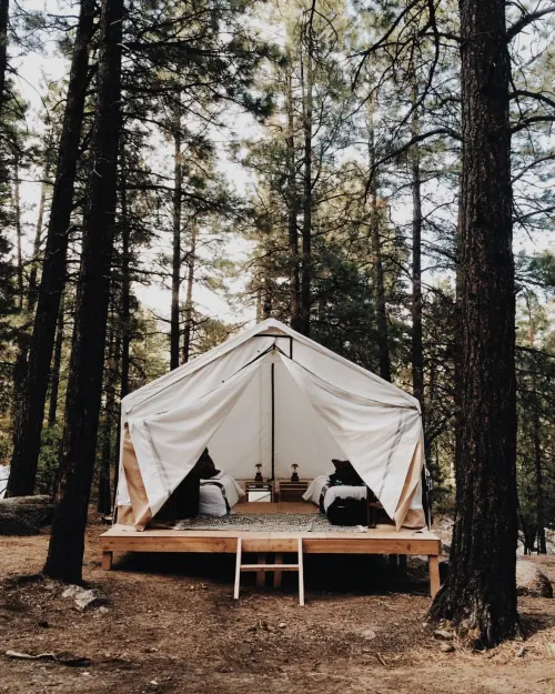 Forest Glamping Tent, organic, photographic, earthy
