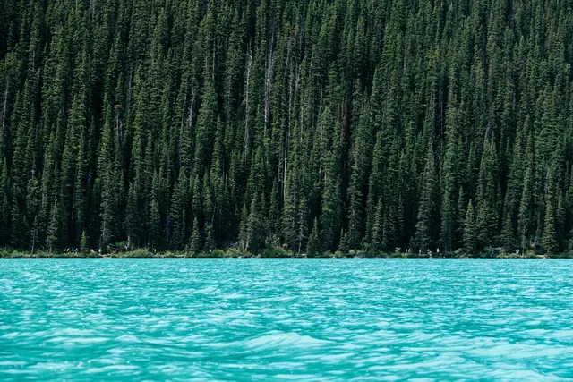 Forest and Turquoise Water Landscape, photographic, minimal, vibrant