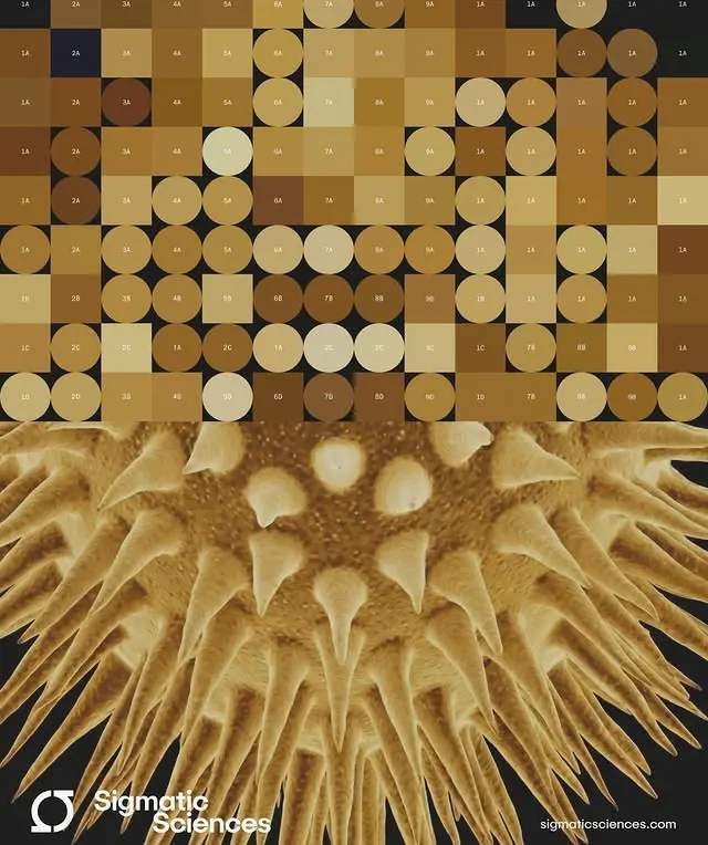 Diatom microscopy grid and fiber composite, technical, data-dense, warm