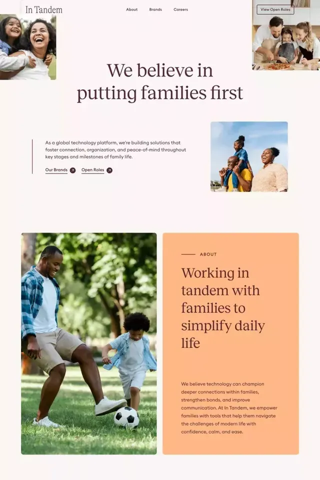 In Tandem family tech platform with asymmetric blocks, minimal, corporate-clean, light