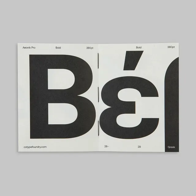 Beispiel Type Specimen
