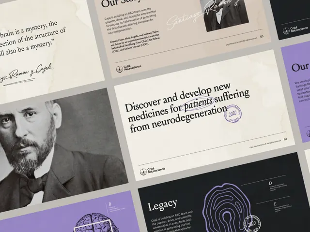 Multipage editorial layout with typography and portrait photography, editorial, minimal, light