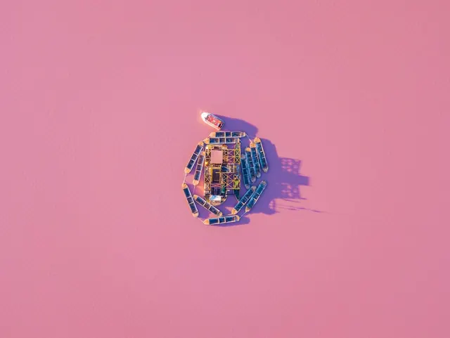Pink Abstract 3D Object, abstract, 3d-render, vibrant
