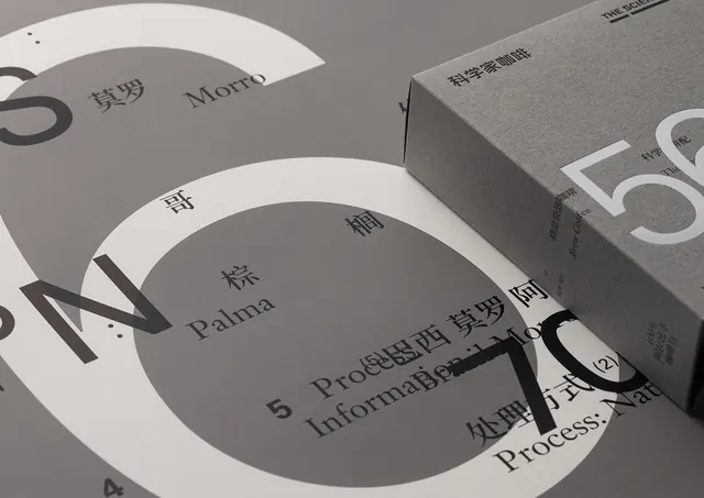 Typography and Layout Composition, swiss, brutalist, monochrome