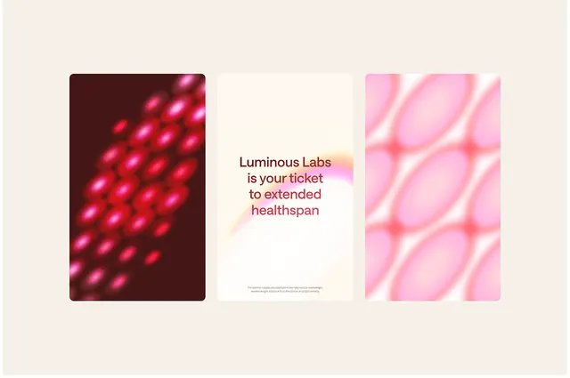 Neon geometric portal composition, geometric, gradient-heavy, dark