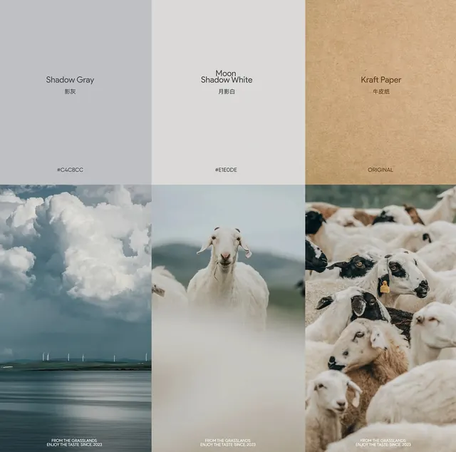 Color and Texture Palette Presentation, minimal, editorial, light