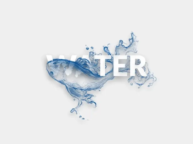 Whale Illustration with Typography, line-art, minimal, light