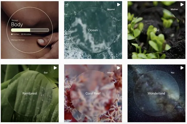 Six-panel conceptual nature grid with circular vignettes, minimal, abstract, cool
