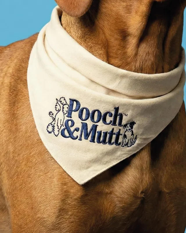 Pet brand bandana with embroidered logo, minimal, organic, light