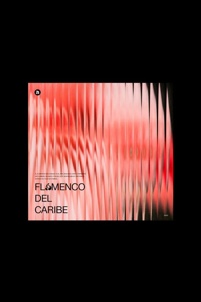 Flamenco del Caribe editorial poster, editorial, gradient-heavy, vibrant
