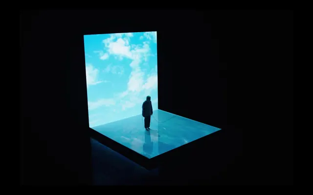 Person in Digital Landscape
