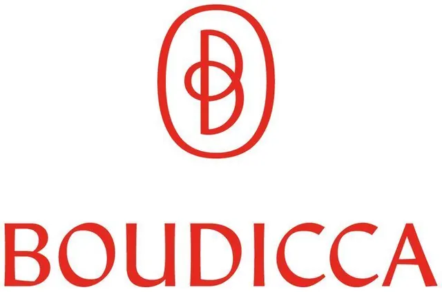 Boudicca nested-oval geometric mark, geometric, line-art, vibrant