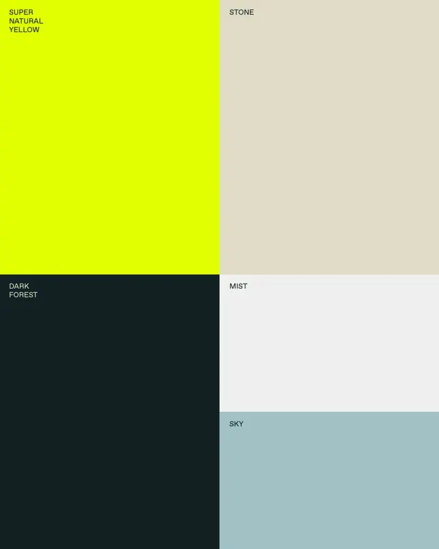 Color Palette and Typography Specification, minimal, swiss, high-contrast