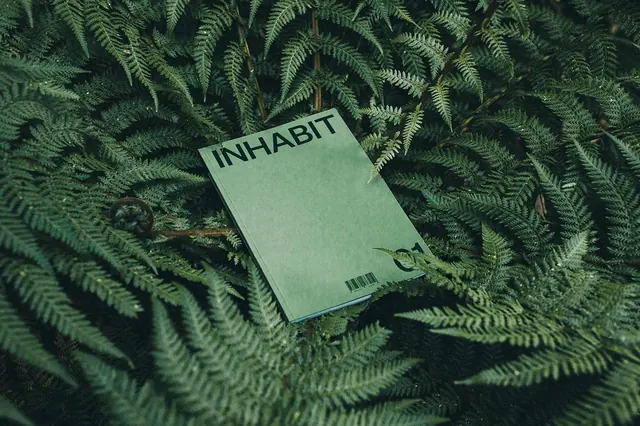 INHABIT Brand Identity Mockup, minimal, organic, earthy