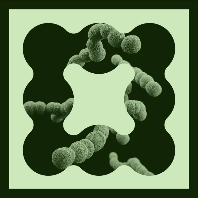 Organic cellular clusters with scalloped frame, organic, abstract, dark