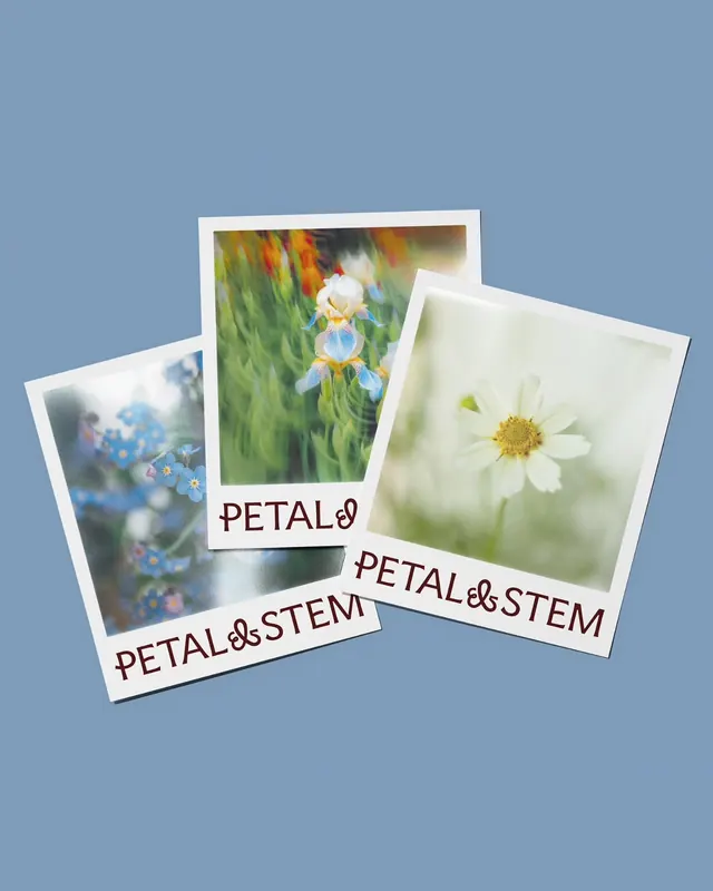 PETAL & STEM botanical stationery, minimal, organic, muted