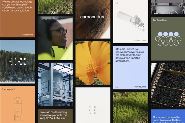 Carboculture climate tech moodboard, minimal, organic, earthy