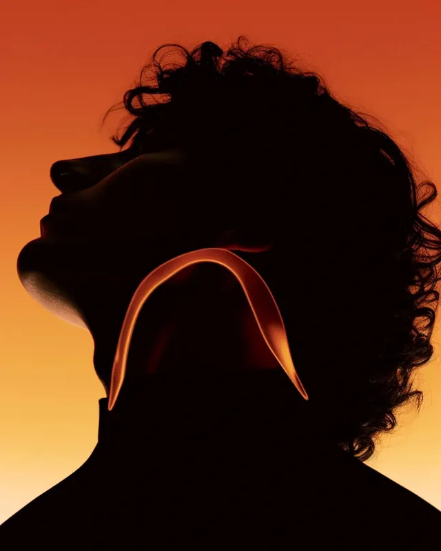 Silhouette Portrait with Gradient Background, minimal, abstract, vibrant