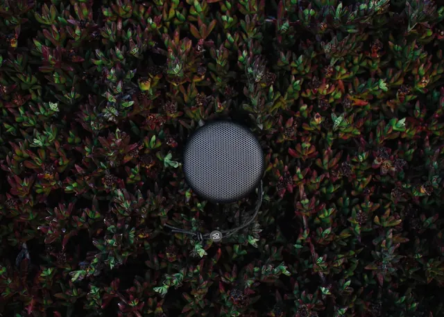 Circular Element on Textured Foliage, organic, photographic, dark