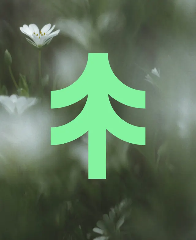 Bright green geometric icon over soft nature backdrop, geometric, flat, vibrant