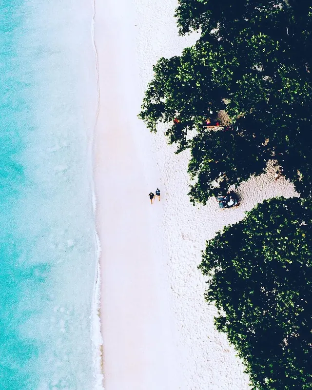 Tropical Beach Landscape, photographic, organic, vibrant