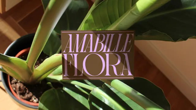 Mabille Mora Logo Mockup, luxury, organic, dark