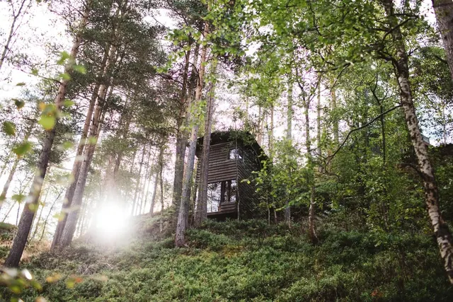 Forest Cabin with Sun Flare, photographic, organic, earthy