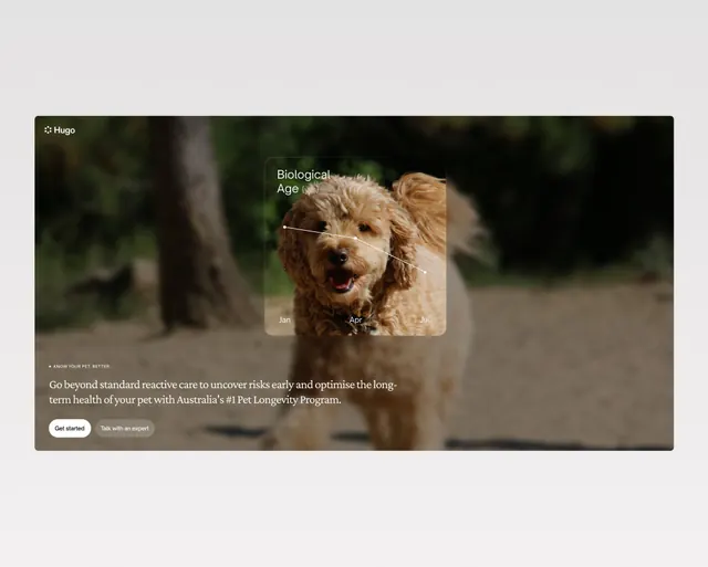 Hugo pet longevity care data card, minimal, organic, muted