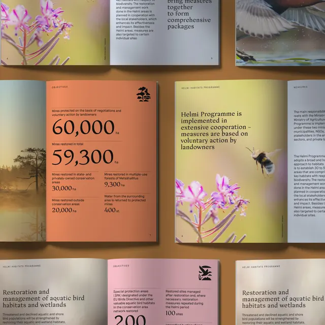 Helmi Habitats Programme conservation report design, editorial, corporate-clean, warm