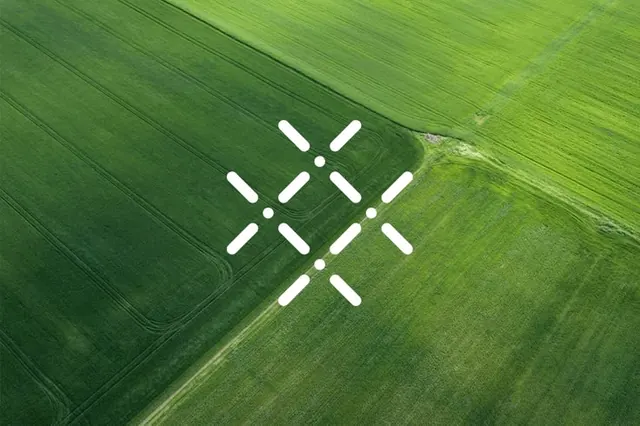 Aerial field with geometric white overlay pattern, minimal, geometric, dark