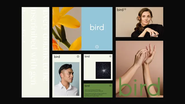 Bird Identity and Branding Elements, minimal, corporate-clean, light