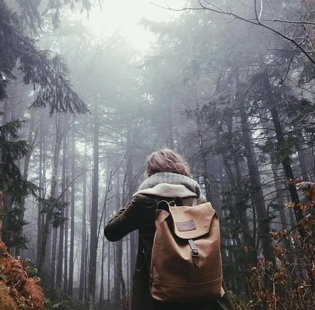 Hiker in Misty Forest, photographic, organic, muted
