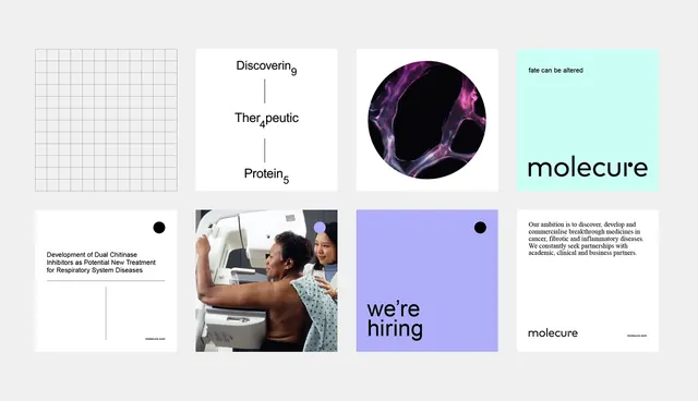 Scientific branding grid with purple and teal accents, minimal, geometric, light