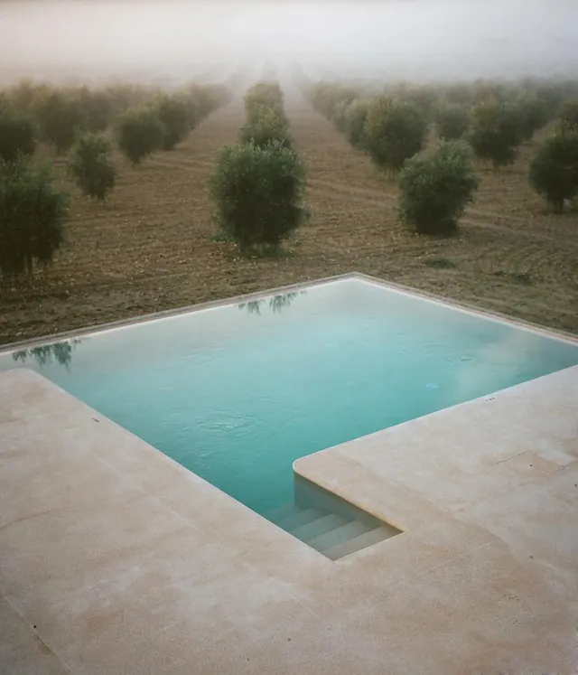 Minimalist Outdoor Pool in Misty Garden, minimal, luxury, muted
