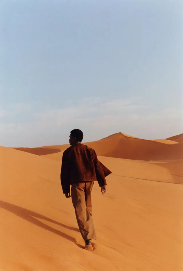 Person in Desert Landscape, minimal, photographic, earthy