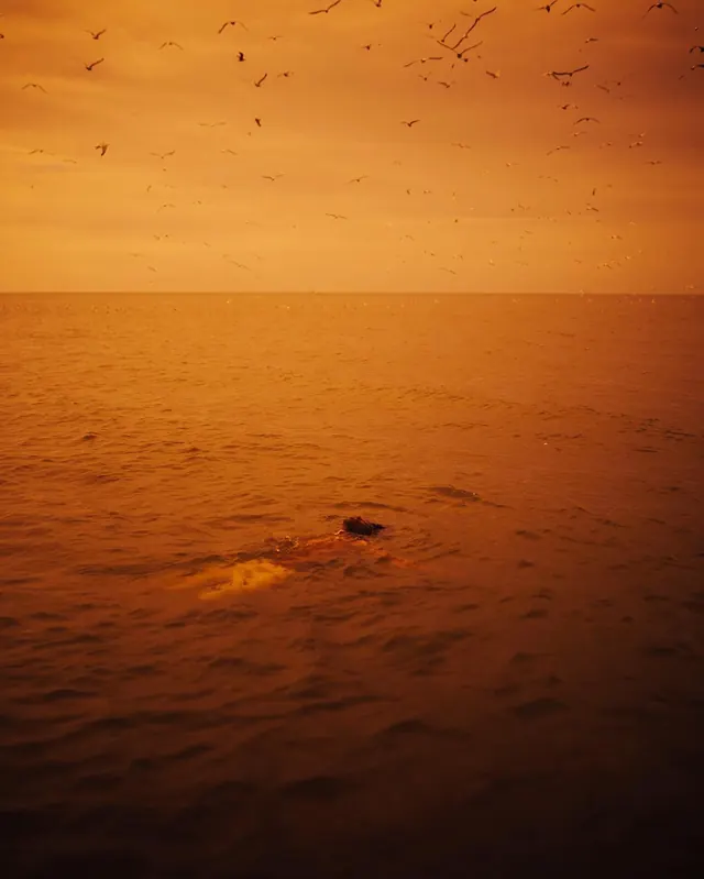 Golden Hour Ocean Scene, photographic, organic, warm