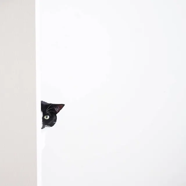 Minimalist Black Graphic on White Surface, minimal, monochrome, high-contrast