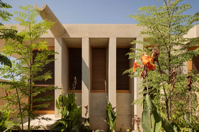 Modern Architectural Exterior with Vertical Louvers, minimal, organic, warm