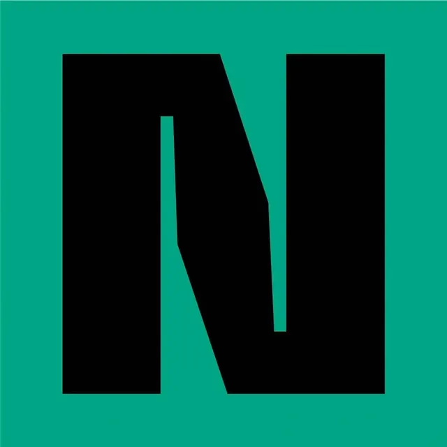 Stylized Letter N Logo, minimal, geometric, vibrant