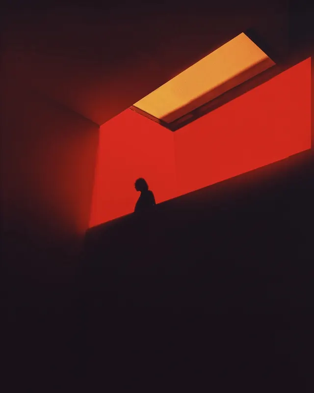 Silhouette in Red Interior, minimal, abstract, vibrant
