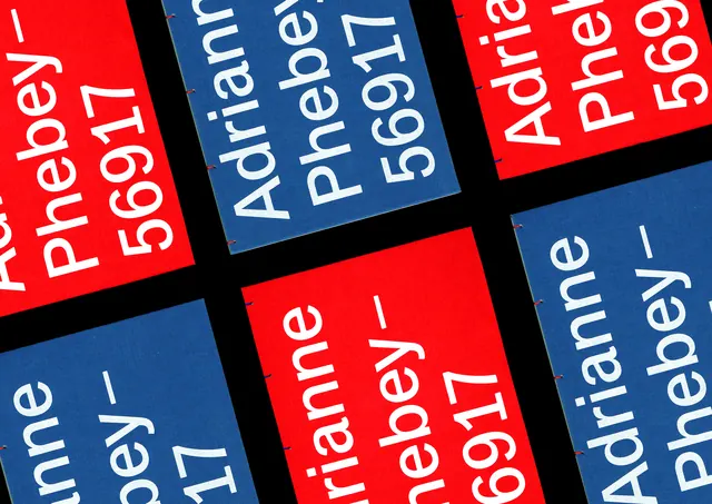 Bold Typographic Grid Design, brutalist, neo-brutalist, high-contrast