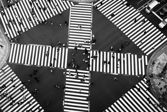 Aerial Crosswalk Pattern, geometric, minimal, monochrome