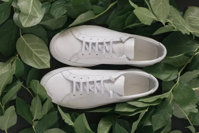 Sneaker Mockup on Foliage, minimal, photographic, light