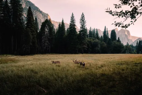 Mountain Landscape with Deer, photographic, organic, earthy