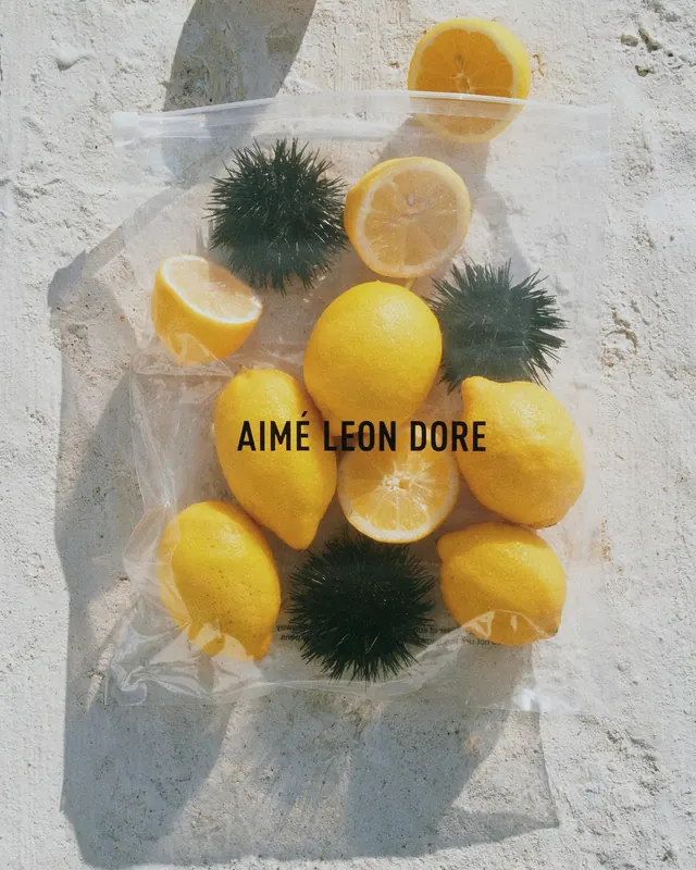 Aime Bonor Graphic Design Mockup, playful, organic, warm