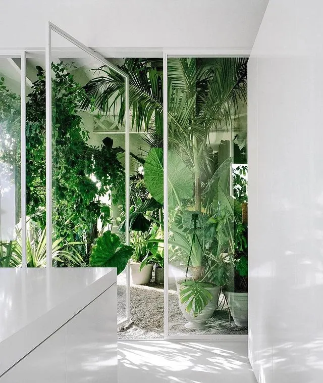 Indoor Tropical Garden Interior, minimal, organic, light