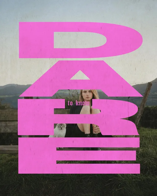 D.A.R. Collage Design, brutalist, neo-brutalist, vibrant